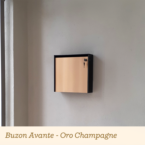 Buzón Avante - Image 2